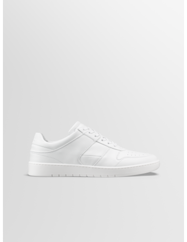 Aventino in Triple White